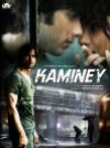 Kaminey