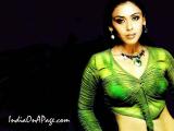 Hrishita Bhatt Hot