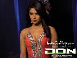 Priyanka chopra Bold