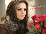 Preity Zinta Wallpaper