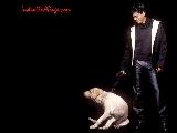 Shahrukh Khan Hot