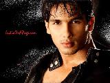 Shahid Kapoor Picture