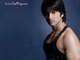 Shahid Kapoor Hot