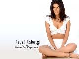 Payal Rohatgi cute