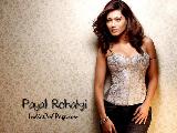 Payal Rohatgi Sexy