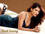 Payal Rohatgi Bold