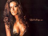 Payal Rohatgi Hot And Sexy