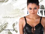 Payal Rohatgi Hot