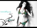 Payal Rohatgi Sexy