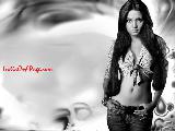 Celina Jaitley Hot