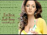 Celina Jaitley beautiful