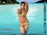 Tanushree Dutta Sexy