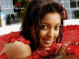 Tanushree Dutta Hot