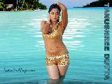 Tanushree Dutta Hot