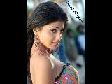 Shriya Saran Bold