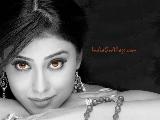 Shriya Saran Hot
