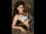 Shriya Saran Beautiful