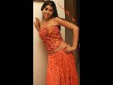 Shriya Saran Bold