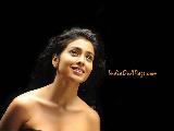 Shriya Saran Bold