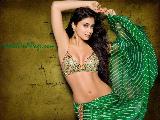 Shriya Saran Beautiful