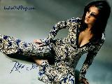 Riya Sen Hot