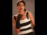 Sameera Reddy Hot