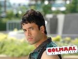 Golmaal 3 wallpaper3