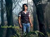 Shaapit Wallpaper6