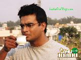 Tanu Weds Manu3