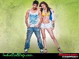 Badmaash Company15