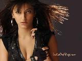 Shruti Haasan 20