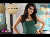 Pyaar Ka Punchnama 7